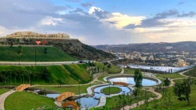 امطار الباحة