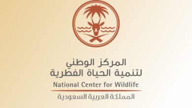 المركز الوطني لتنمية الحياة الفطرية