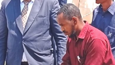 وزير الزراعة والري السوداني